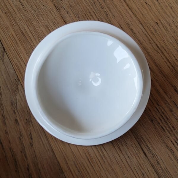 Aynsley Spring Crocus discontinued Sugarbowl